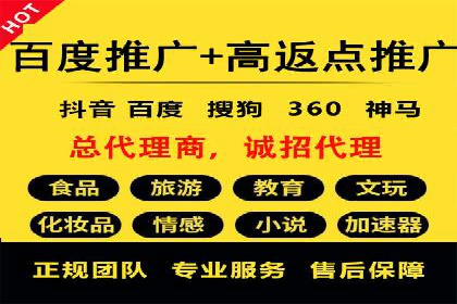 竞价广告策略案例分析